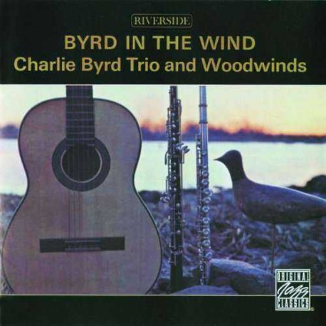 Byrd in the Wind