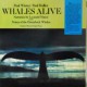 Whales Alive w/ Paul Halley (Dutch Pressing)