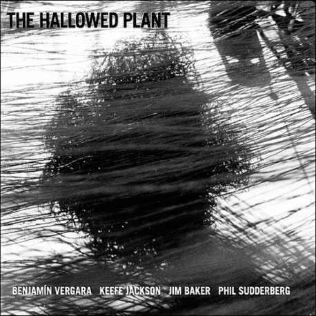 The Hallowed Plant