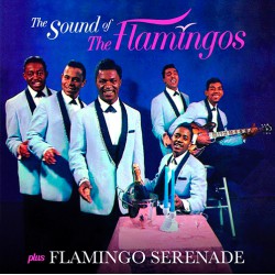 The Sound of the Flamingos + Famingo Serenade