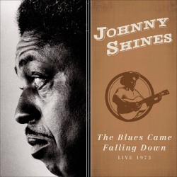 The Blues Came Falling Down: Live 1973