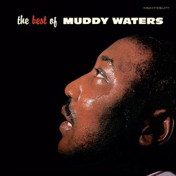The Best of Muddy Waters (Colored Vinyl)
