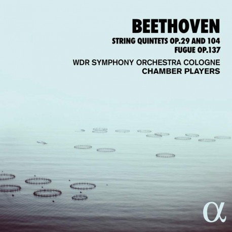 Beethoven - String 5tets Op 29 and104 Fugue Op 137
