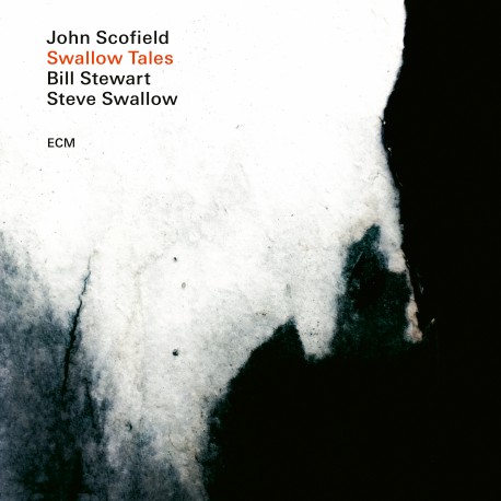 Swallow Songs