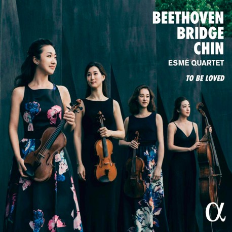 Beethoven - Bridge - Chin