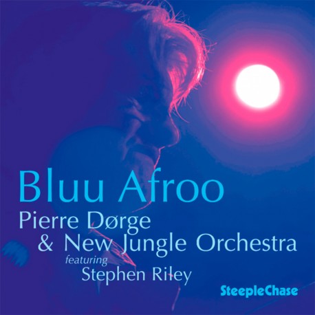 Bluu Afro - New Jungle Orchestra with Stephen Rile