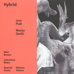 Hybrid w/ Marius Dedic