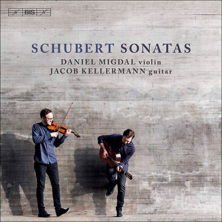 Schubert - Sonatas on Violin and Guitar