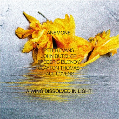 A Wing Dissolved in Light w/Peter Evans