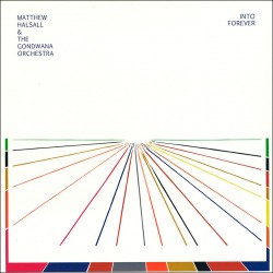 Into Forever w/The Gondwana Orchestra