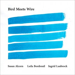 Bird Meets Wire