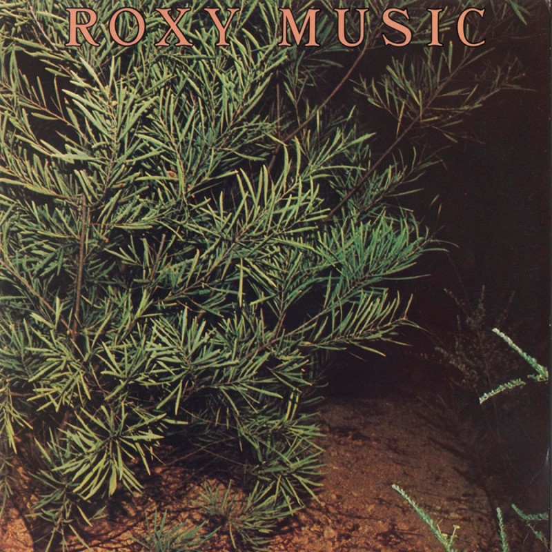 Voyage dans la fascinante carrière de Roxy Music 