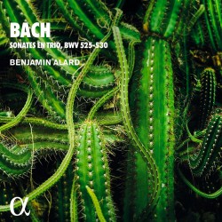 Bach: Sonates en trio, BWV 525-530