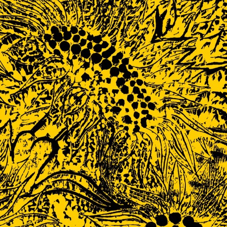 Little Sunflower (Limited 10 Inch EP)