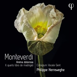 Monteverdi - Il Quarto Libro de Madrigali