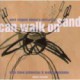 Where`S Africa Trio-Can Walk on Sand