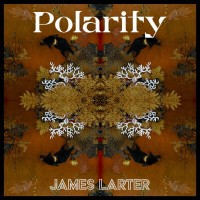 Polarity (Limited 12 Inch)