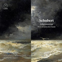Schubert - Lebenssturme: Music for Piano Four-Han