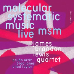 MSM Molecular Systematic Music - Live