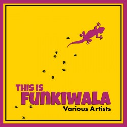 This Is Funkiwala