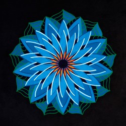 Blue Lotus (Limited Edition)