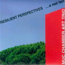 Resilient Perspectives