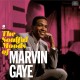 The Soulful Moods of Marvin Gaye - 180 Gram