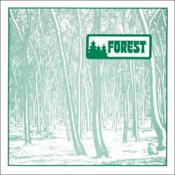 Forest (70's Acid Jazz Folk AOR Private Pressing)