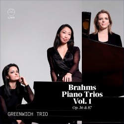 Brahms: Piano Trios Vol. 1 Op. 36 & 87