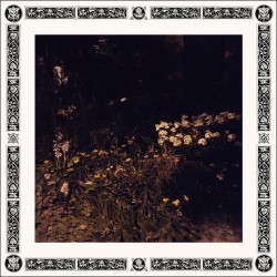 Pale Bloom (Limited Edition)