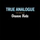 True Analogue - The Best Of Groove Note
