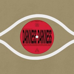 Darkness Darkness/No Services (Limited 12")