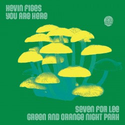 Seven For Lee-Green & Orange Night Park (Lted 7")