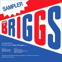 Selected Music From The Album Brian Damage (12")