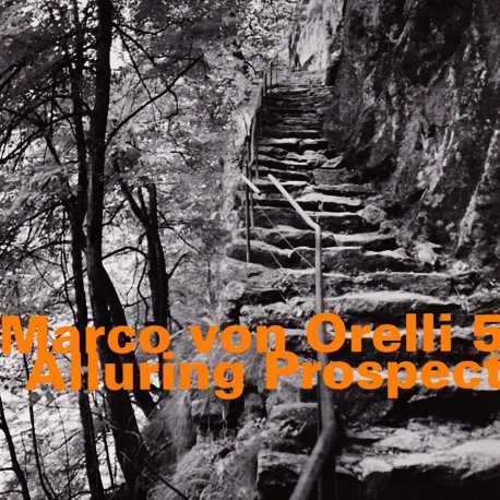 Marco Von Orelli 5: Alluring Prospect
