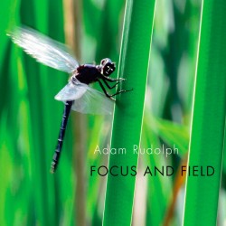 Focus and Field