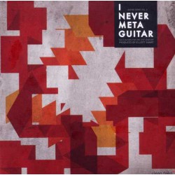 I Never Meta Guitar
