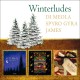 Winterludes - Al Dimeola - Boney James - Spyro Gyra